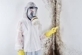 Best Attic Mold Removal  in Country Knolls, NY